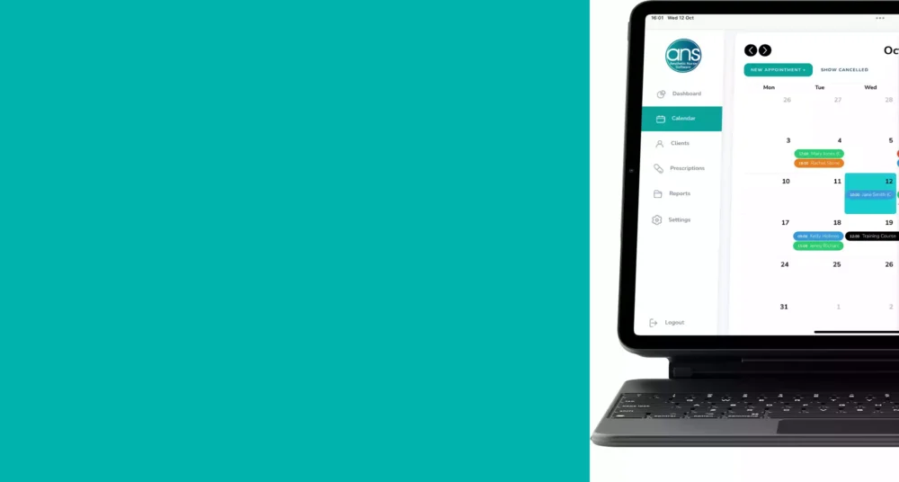 An image of the Aesthetic Nurse Software app on an iPad.