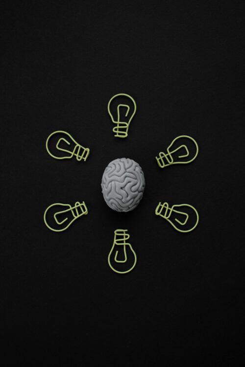 An image of a brain with 6 light bulbs around it.